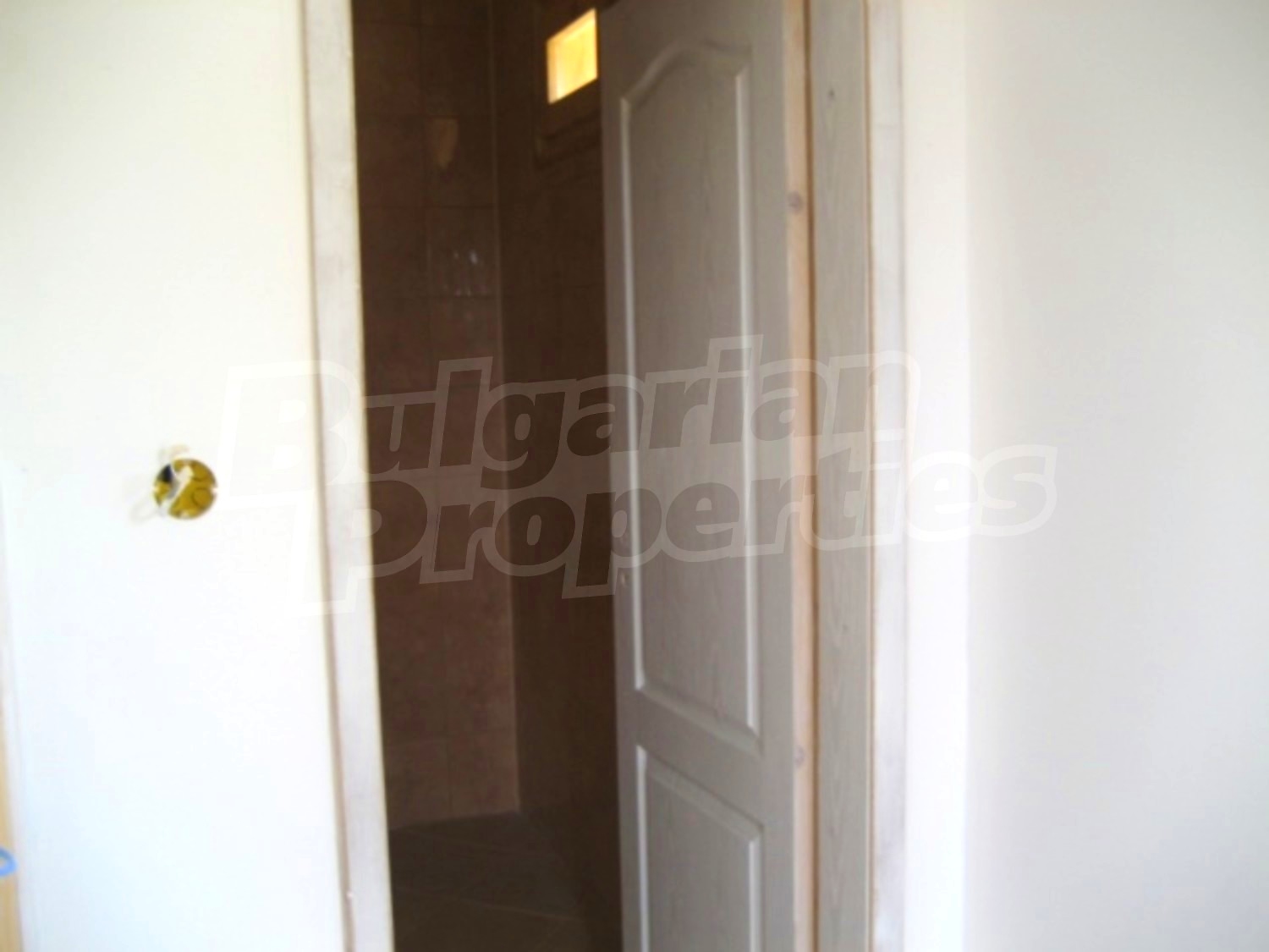 Gallery Picture 16