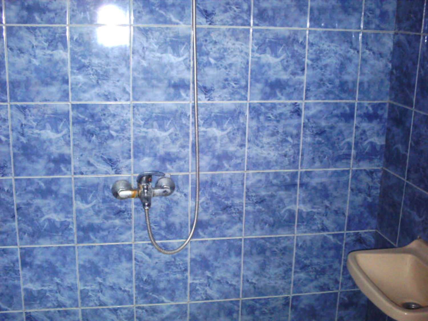 Gallery Picture 10