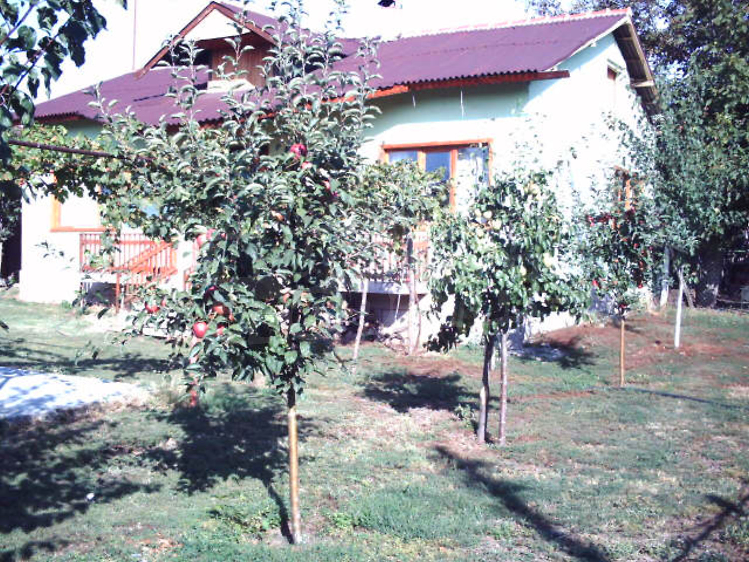 Gallery Picture 11