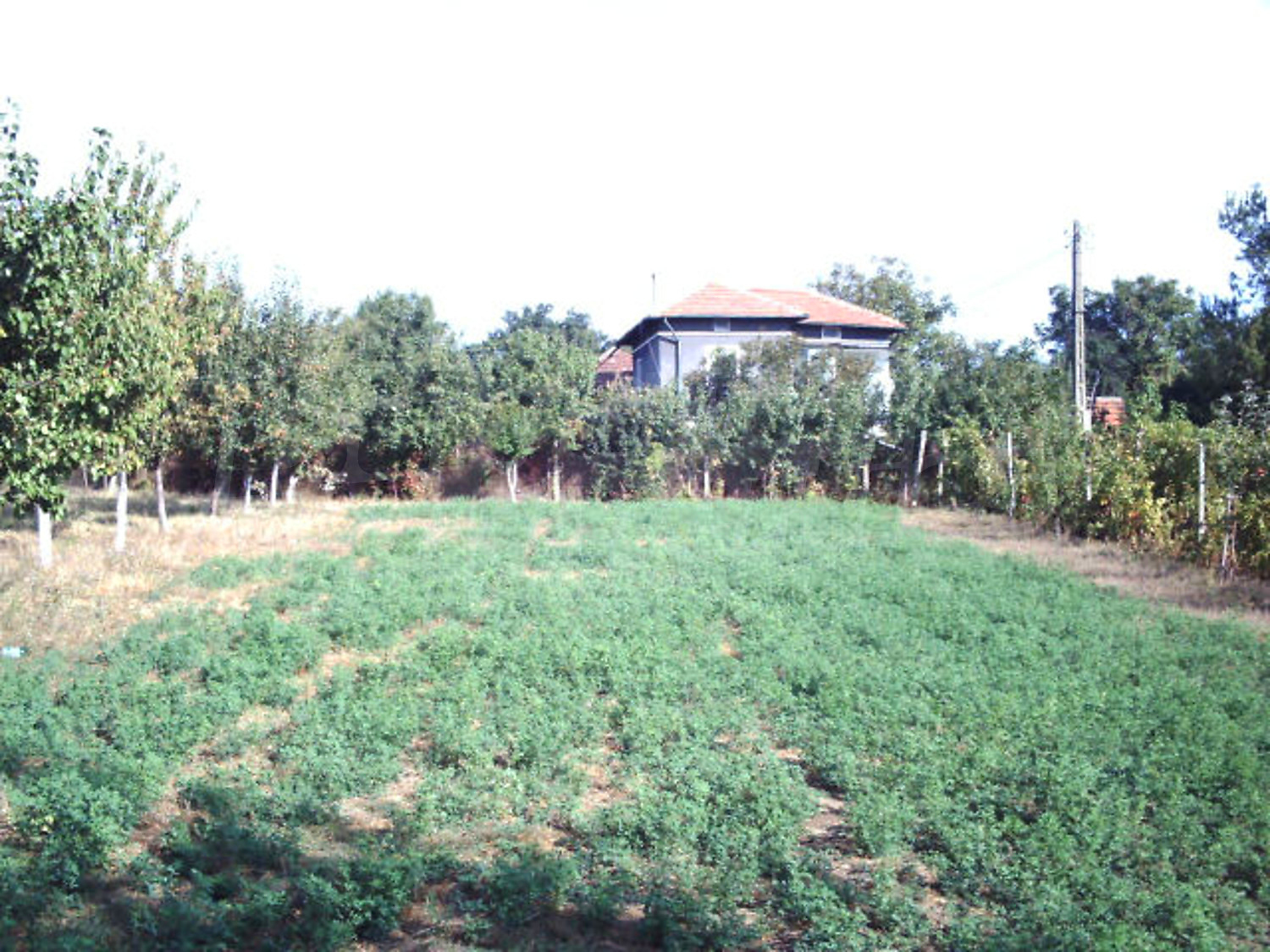 Gallery Picture 19