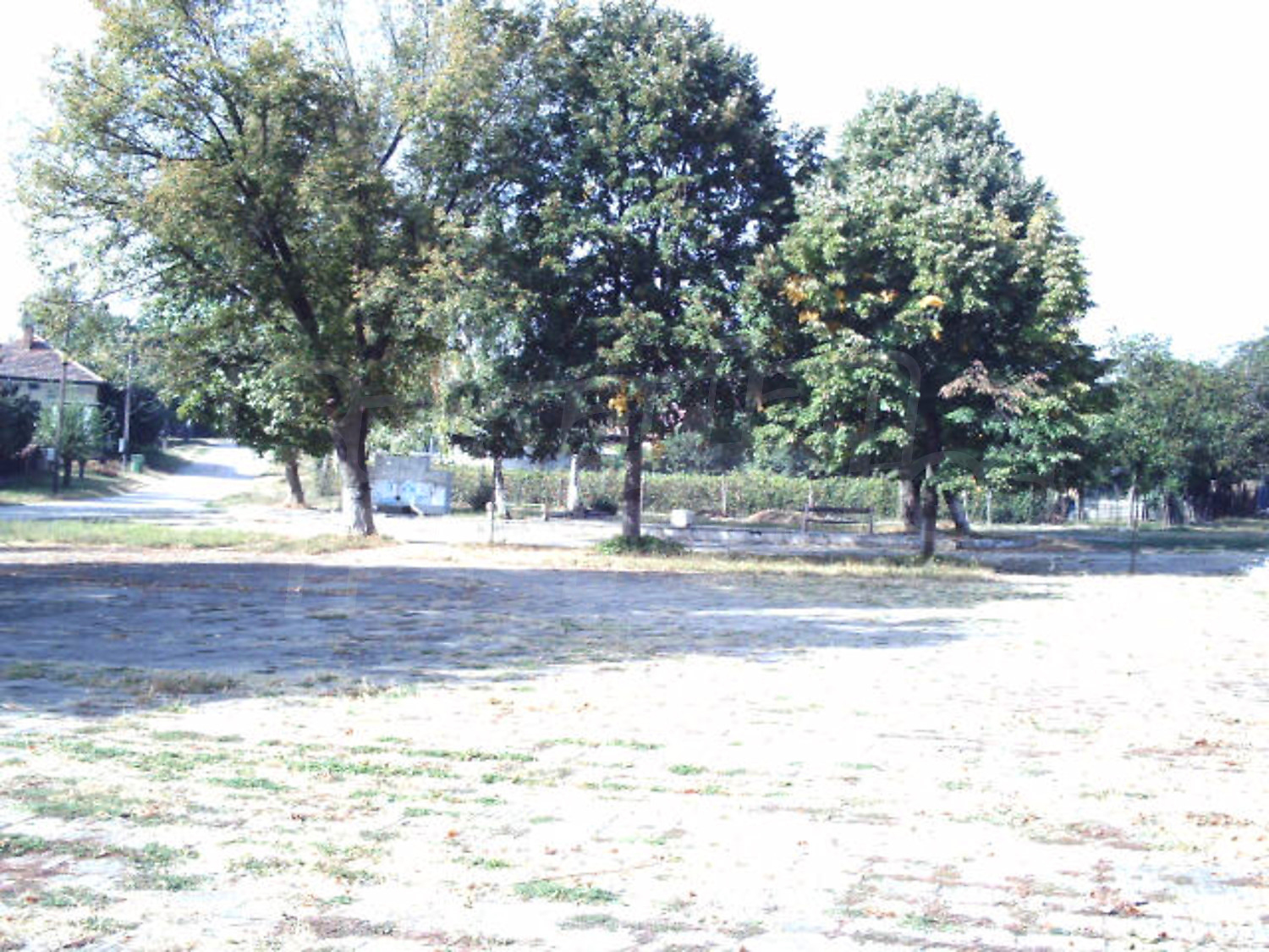 Gallery Picture 23