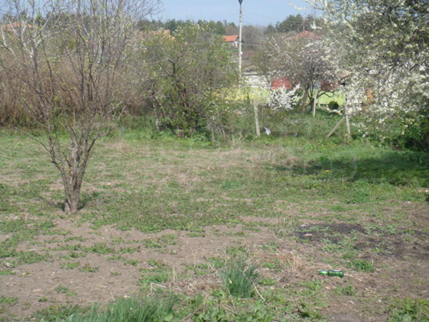 Gallery Picture 5