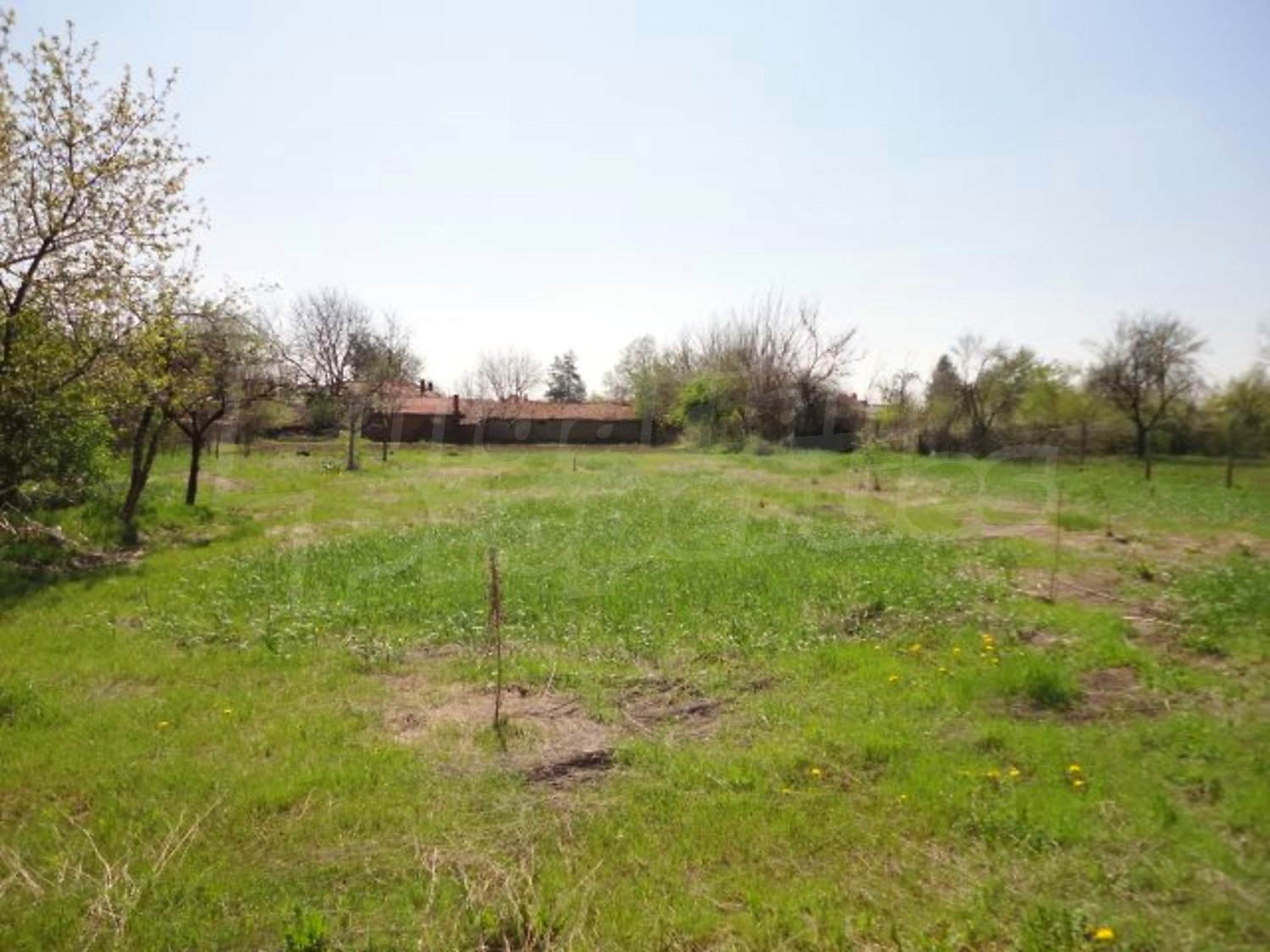Gallery Picture 28