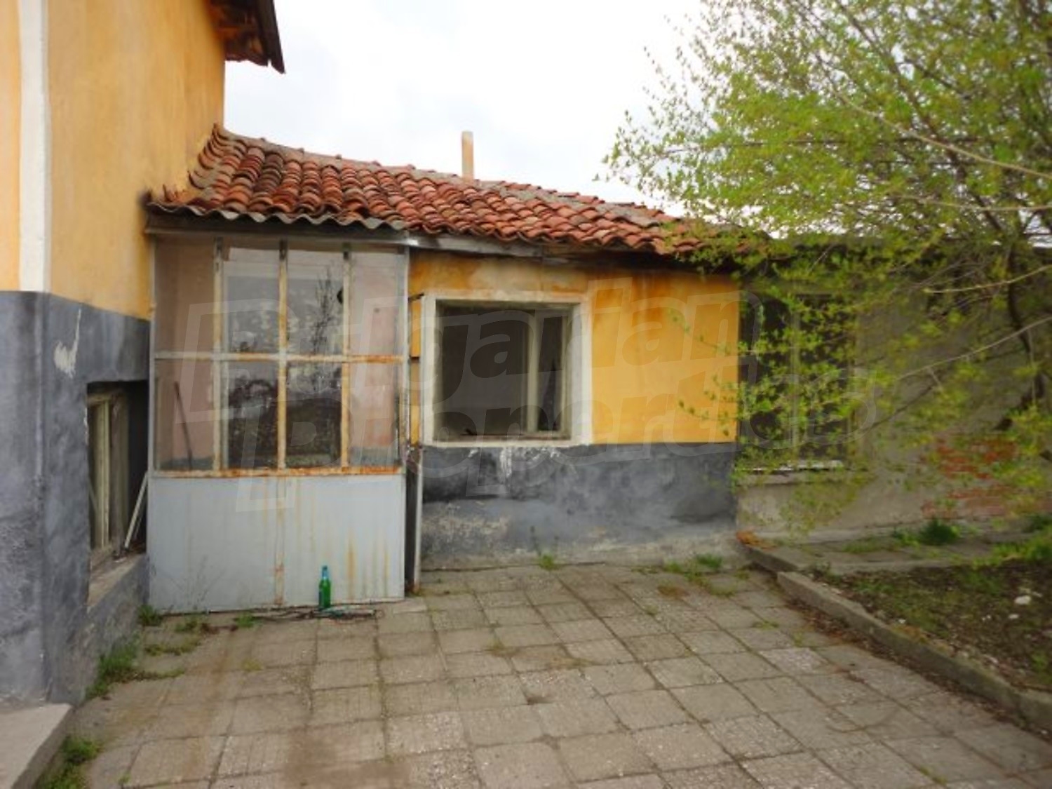Gallery Picture 21