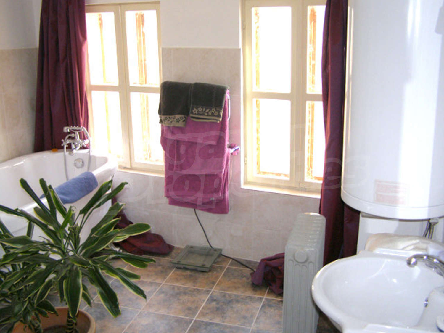 Gallery Picture 4