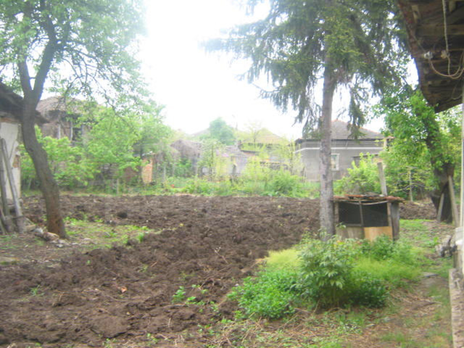 Gallery Picture 17