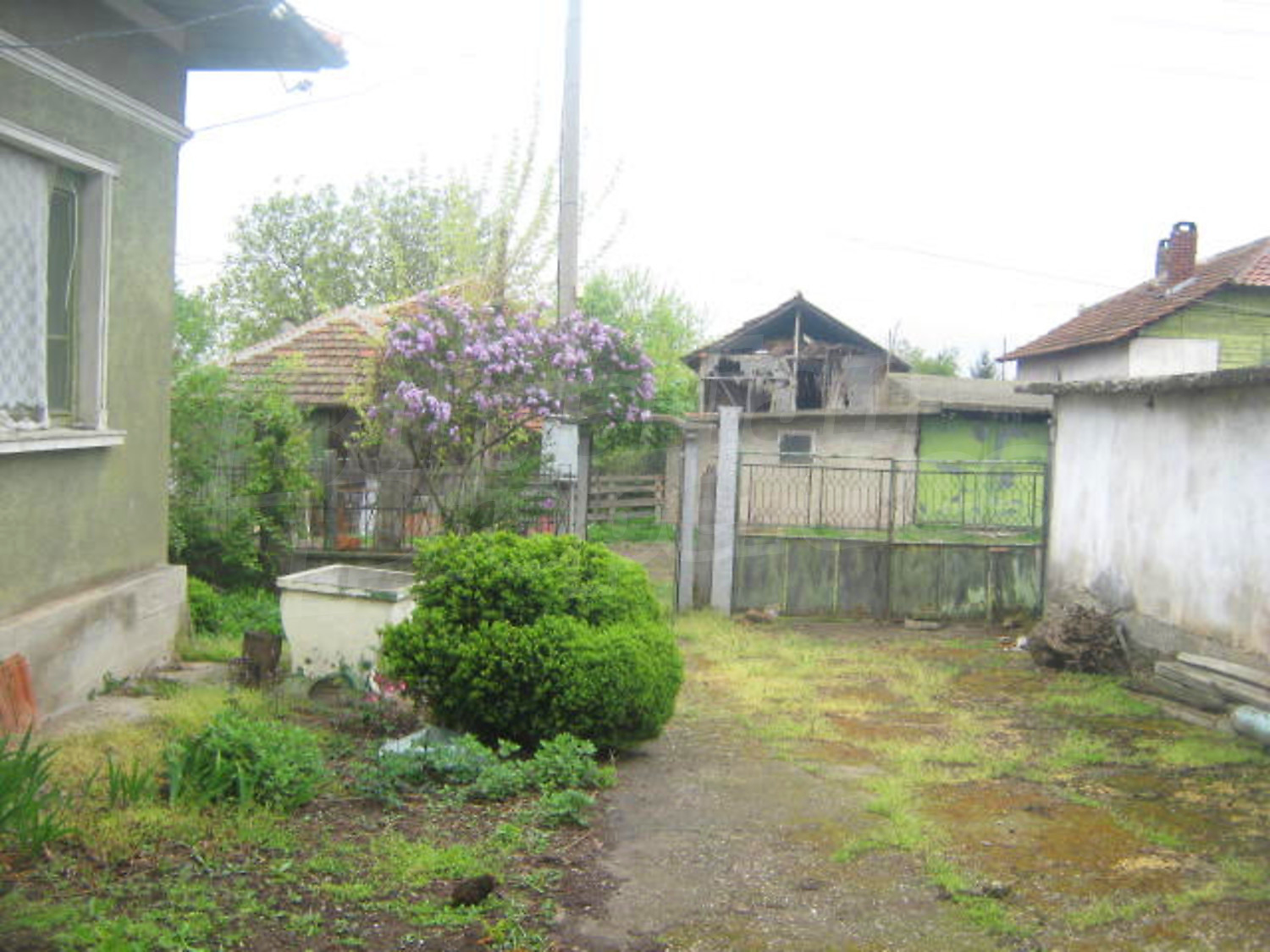 Gallery Picture 18