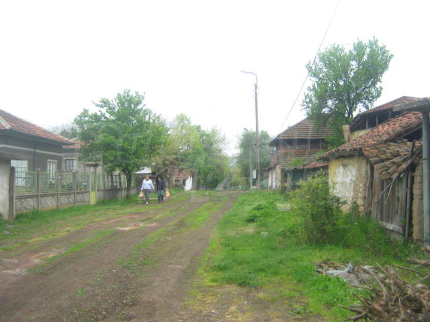 Gallery Picture 19