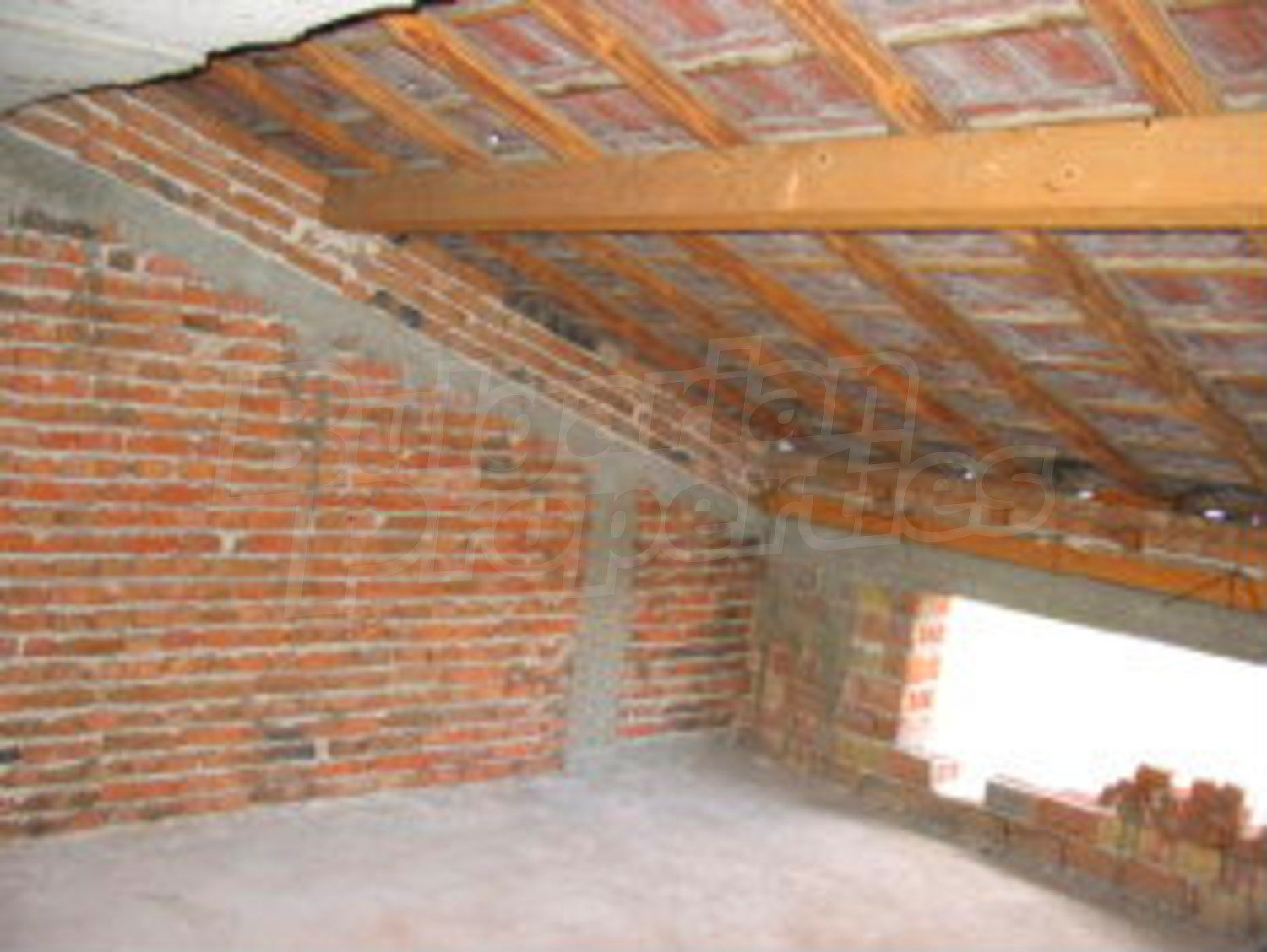 Gallery Picture 6