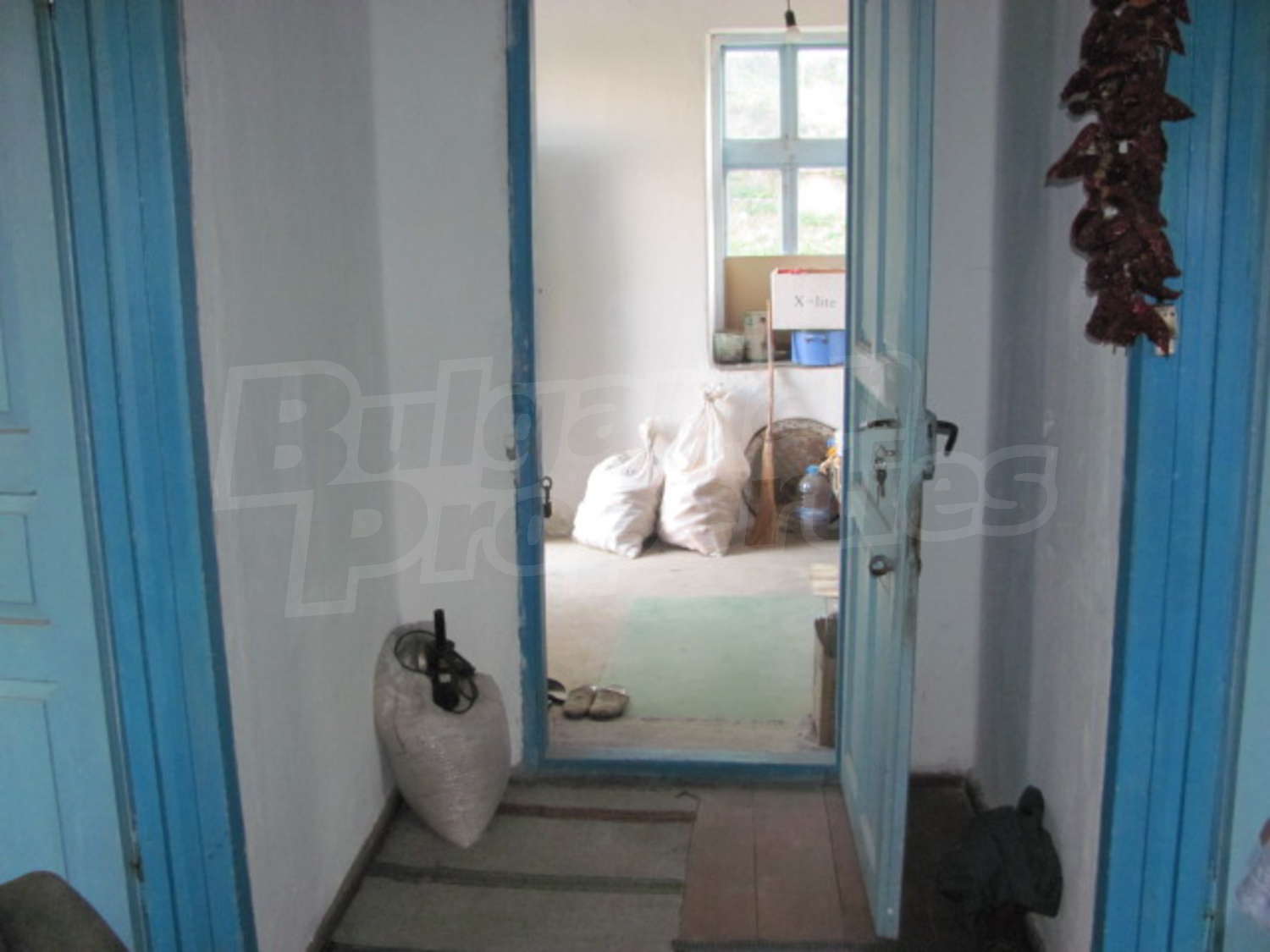Gallery Picture 10