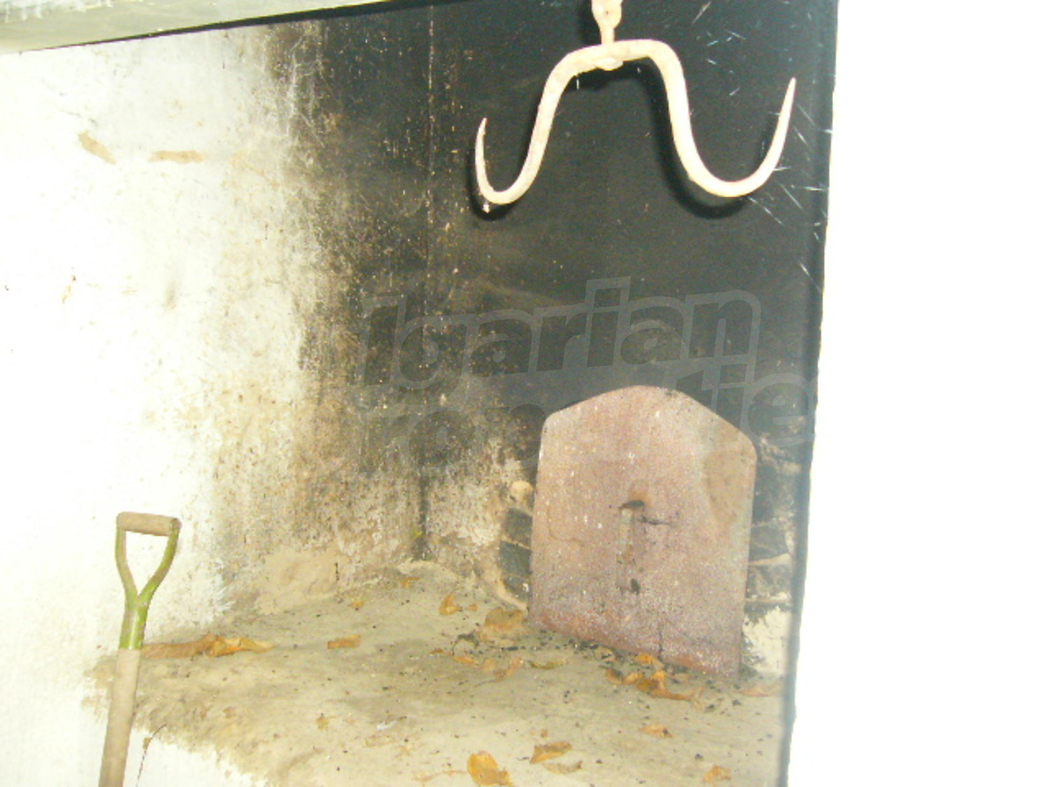 Gallery Picture 16
