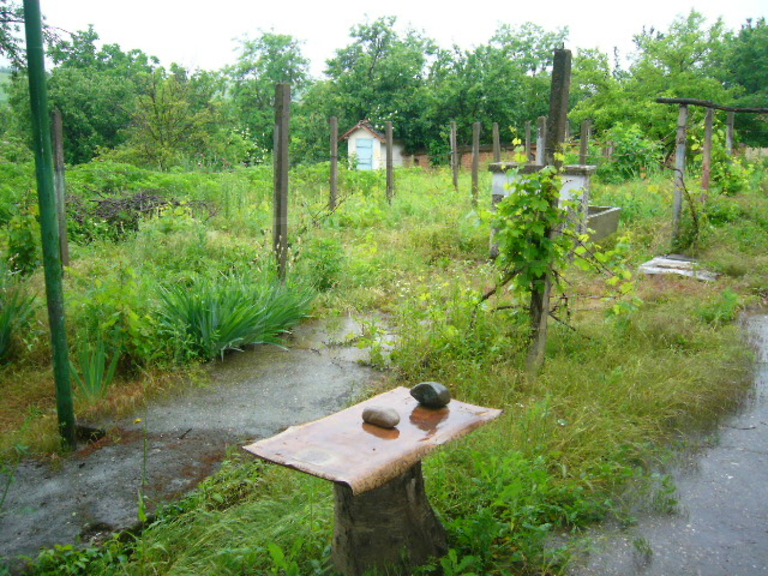 Gallery Picture 17