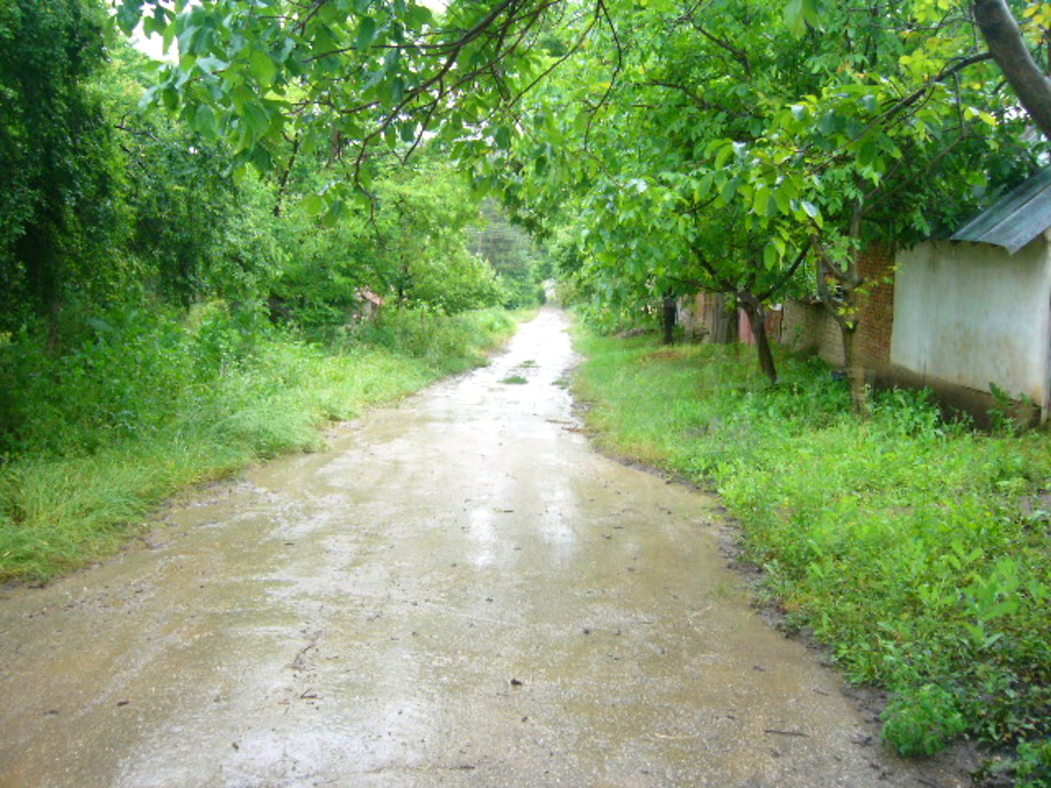 Gallery Picture 19