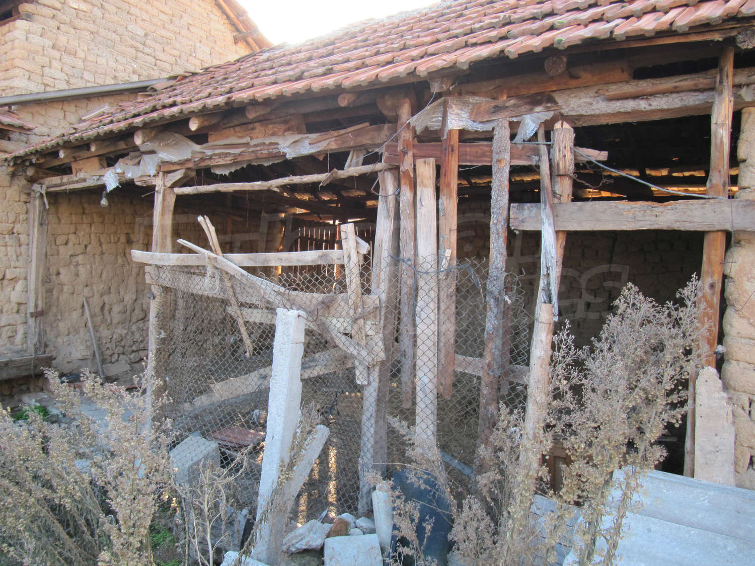 Gallery Picture 14