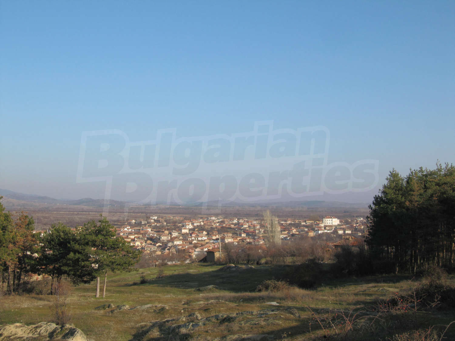Gallery Picture 26