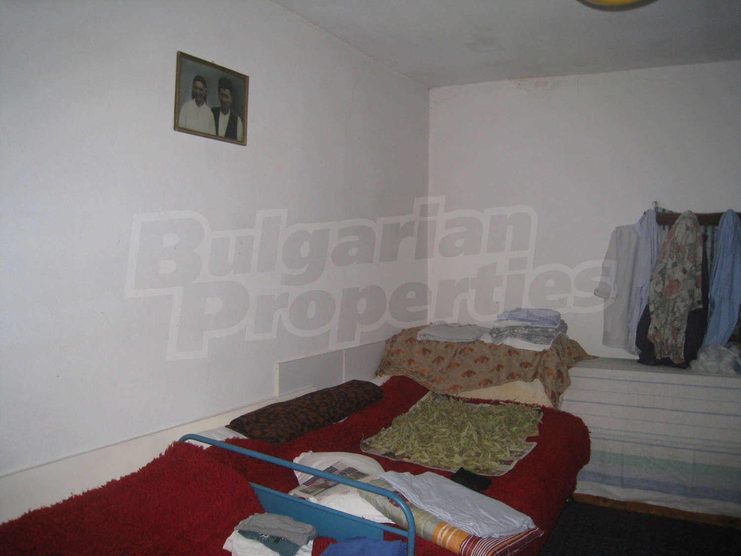 Gallery Picture 10