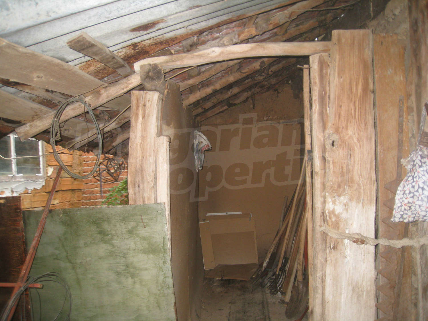 Gallery Picture 28