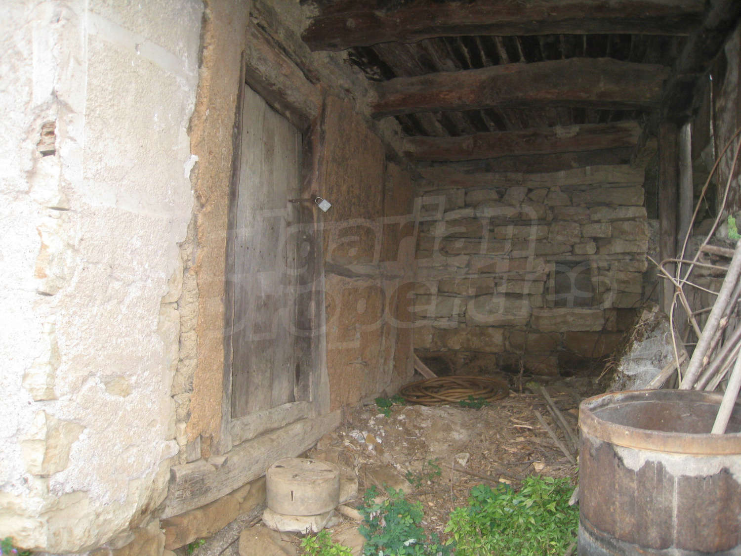 Gallery Picture 34