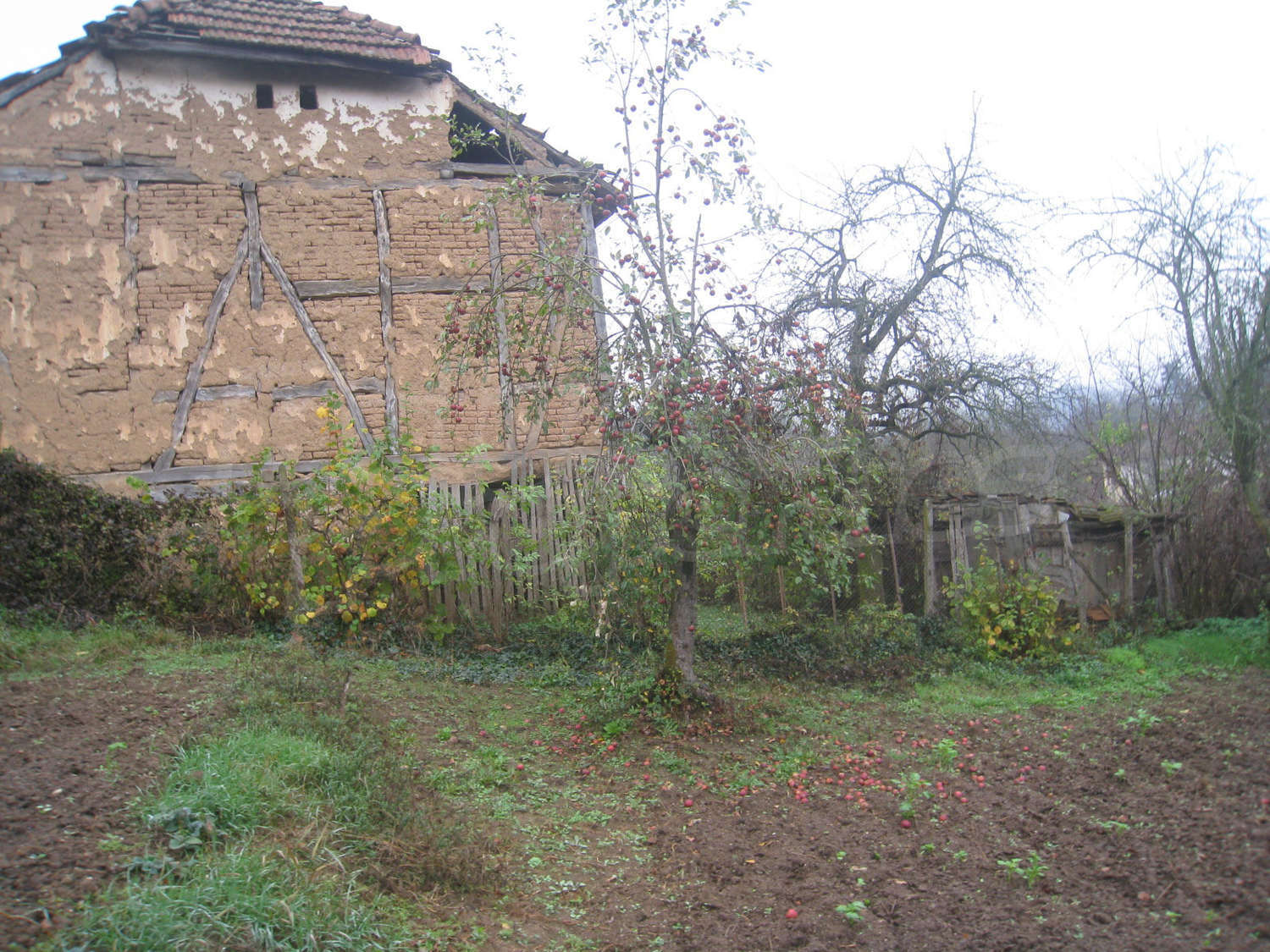 Gallery Picture 38