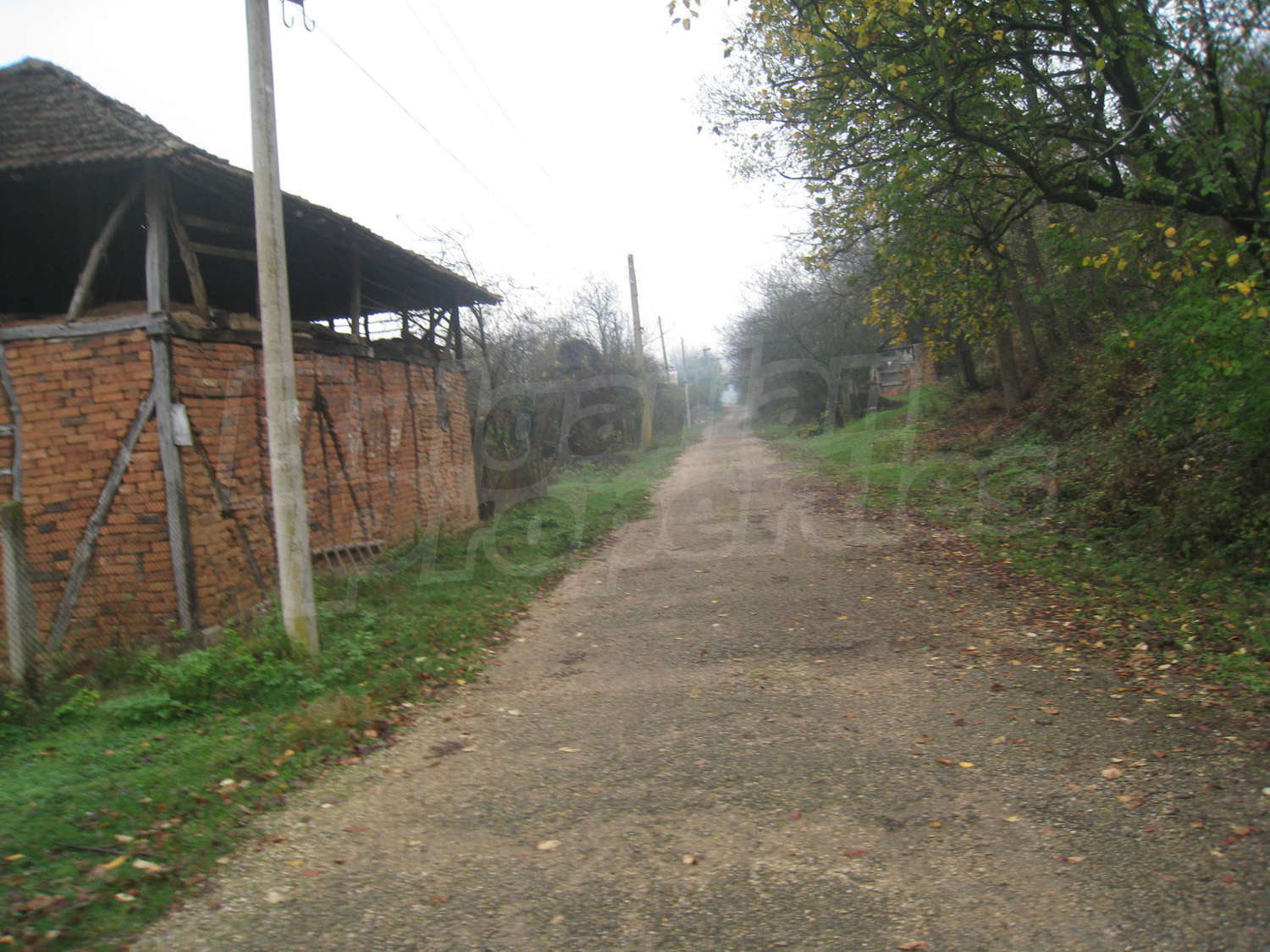 Gallery Picture 55