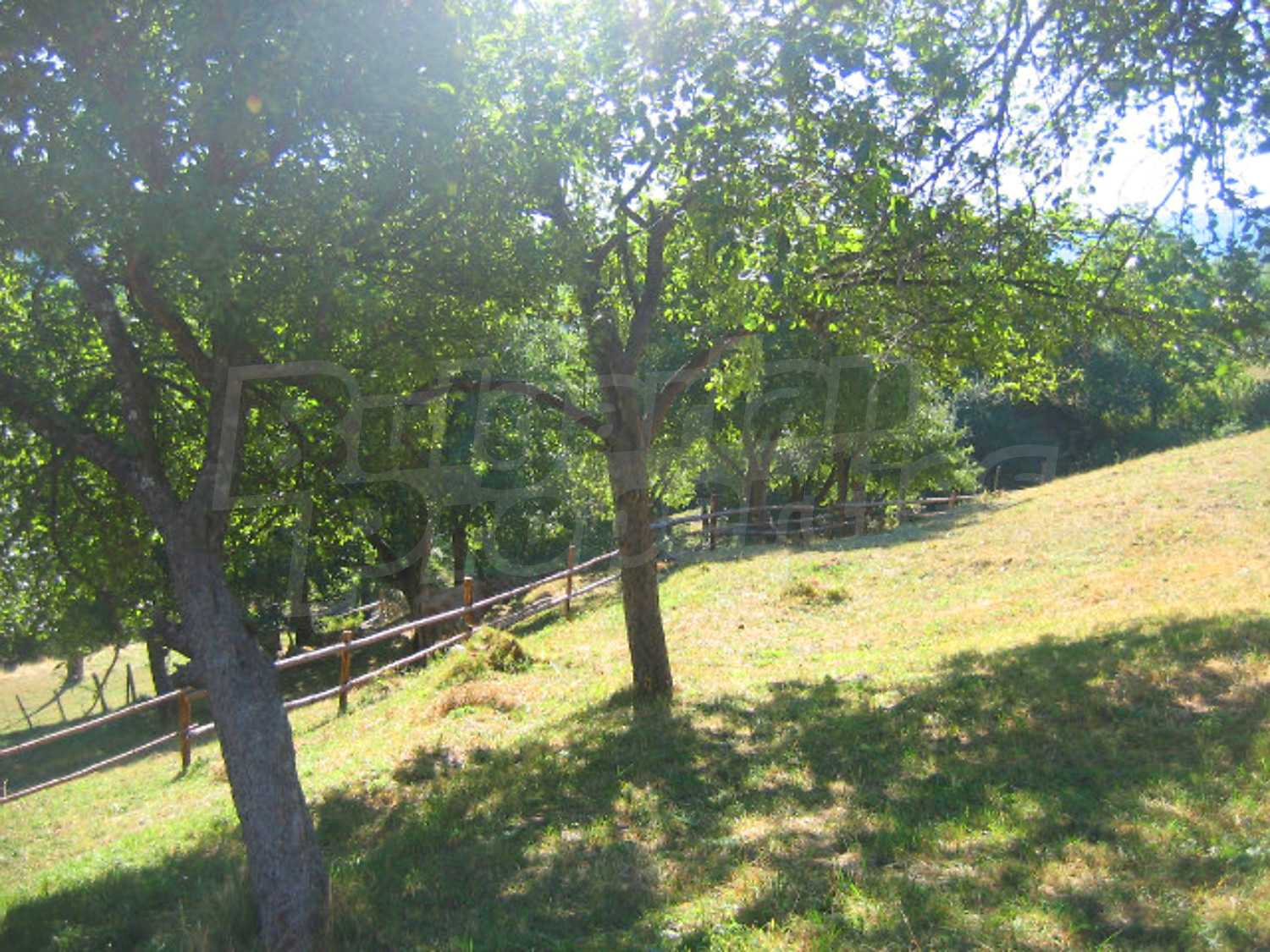 Gallery Picture 6
