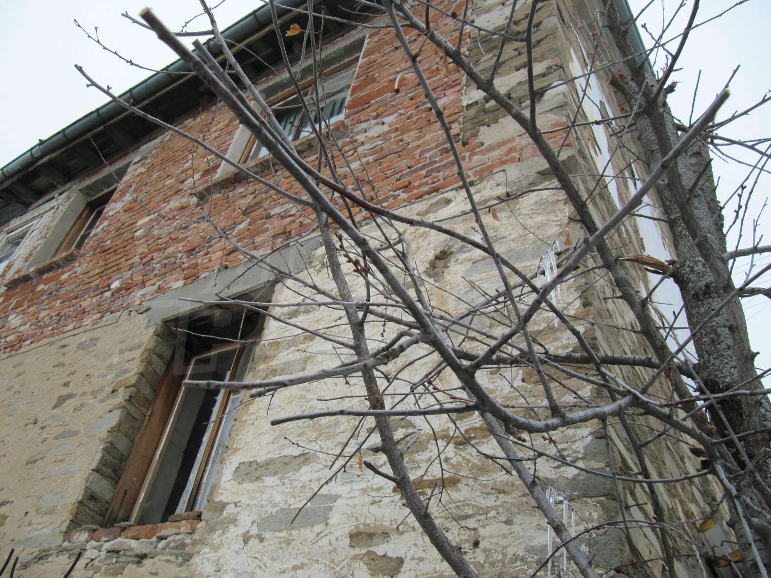 Gallery Picture 3
