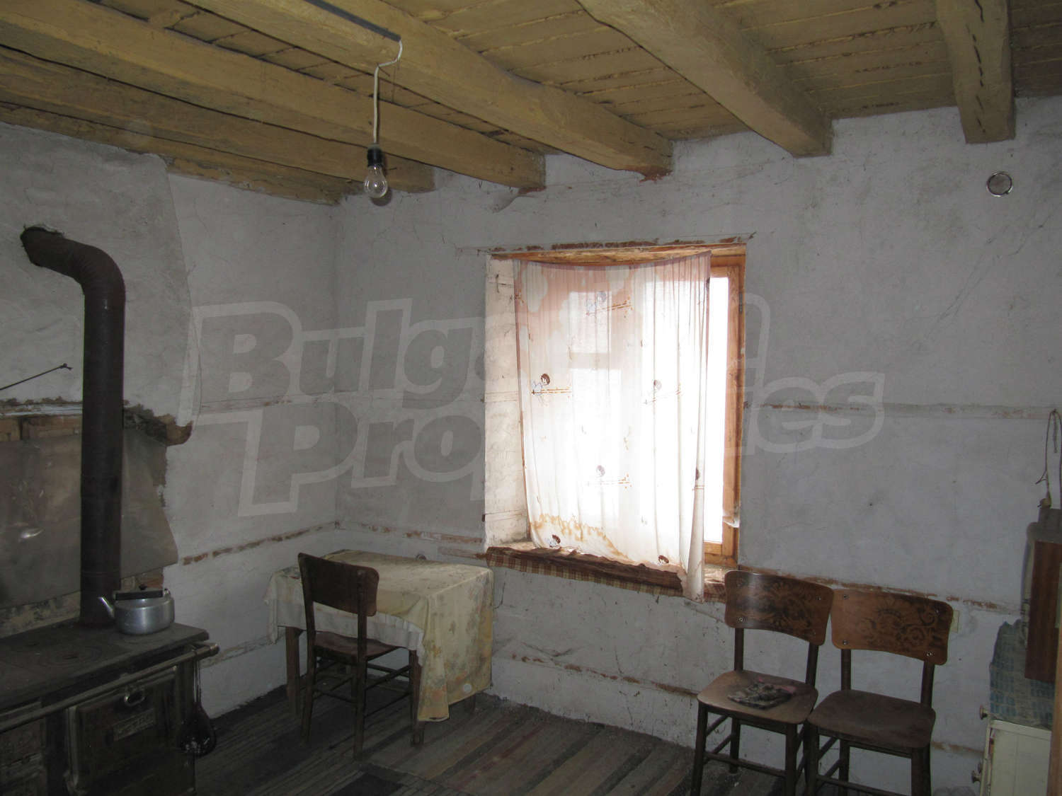 Gallery Picture 5