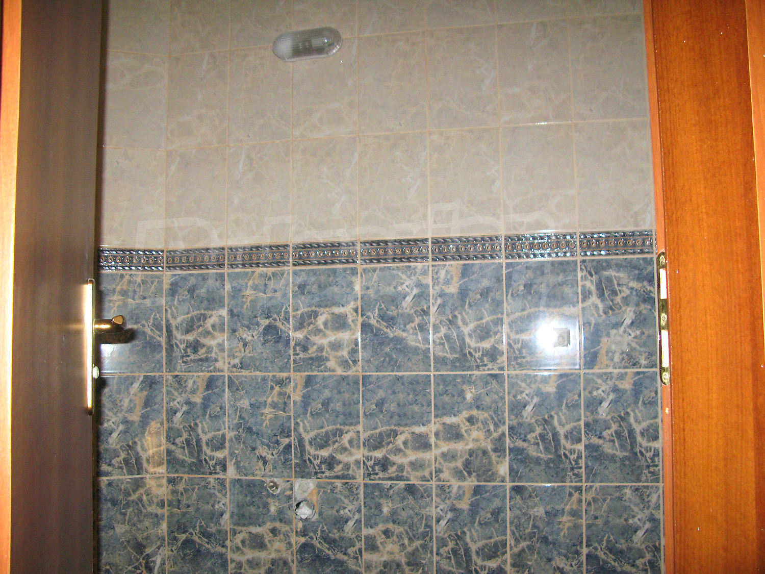 Gallery Picture 10