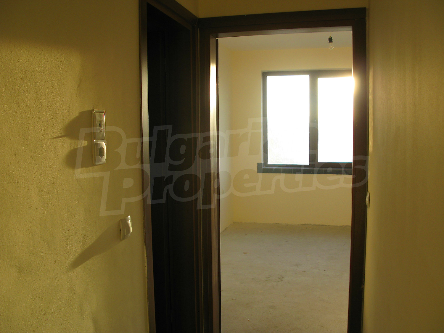 Gallery Picture 9
