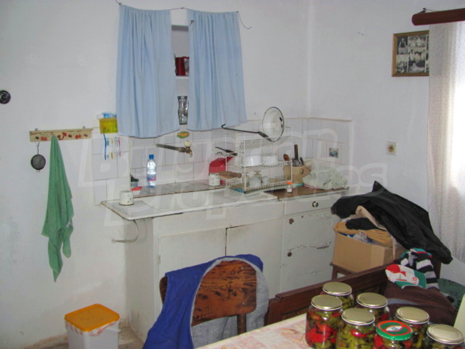 Gallery Picture 19