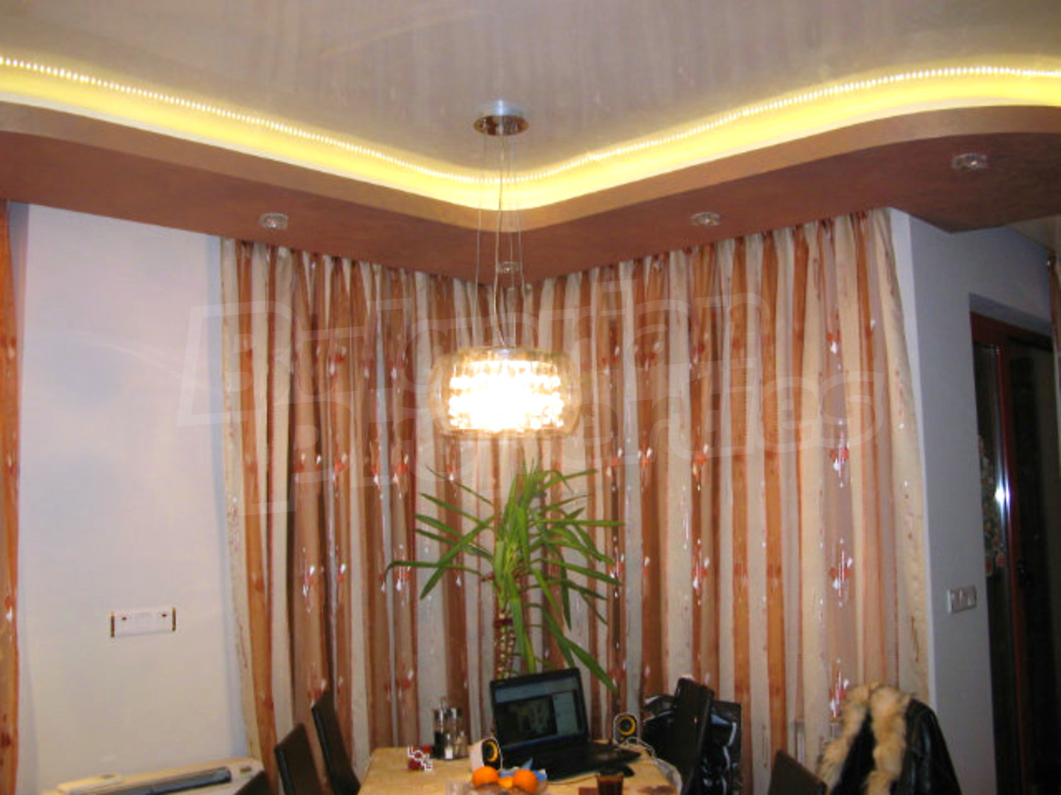 Gallery Picture 15