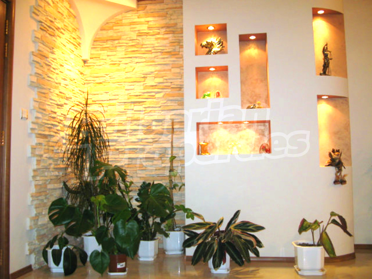 Gallery Picture 7