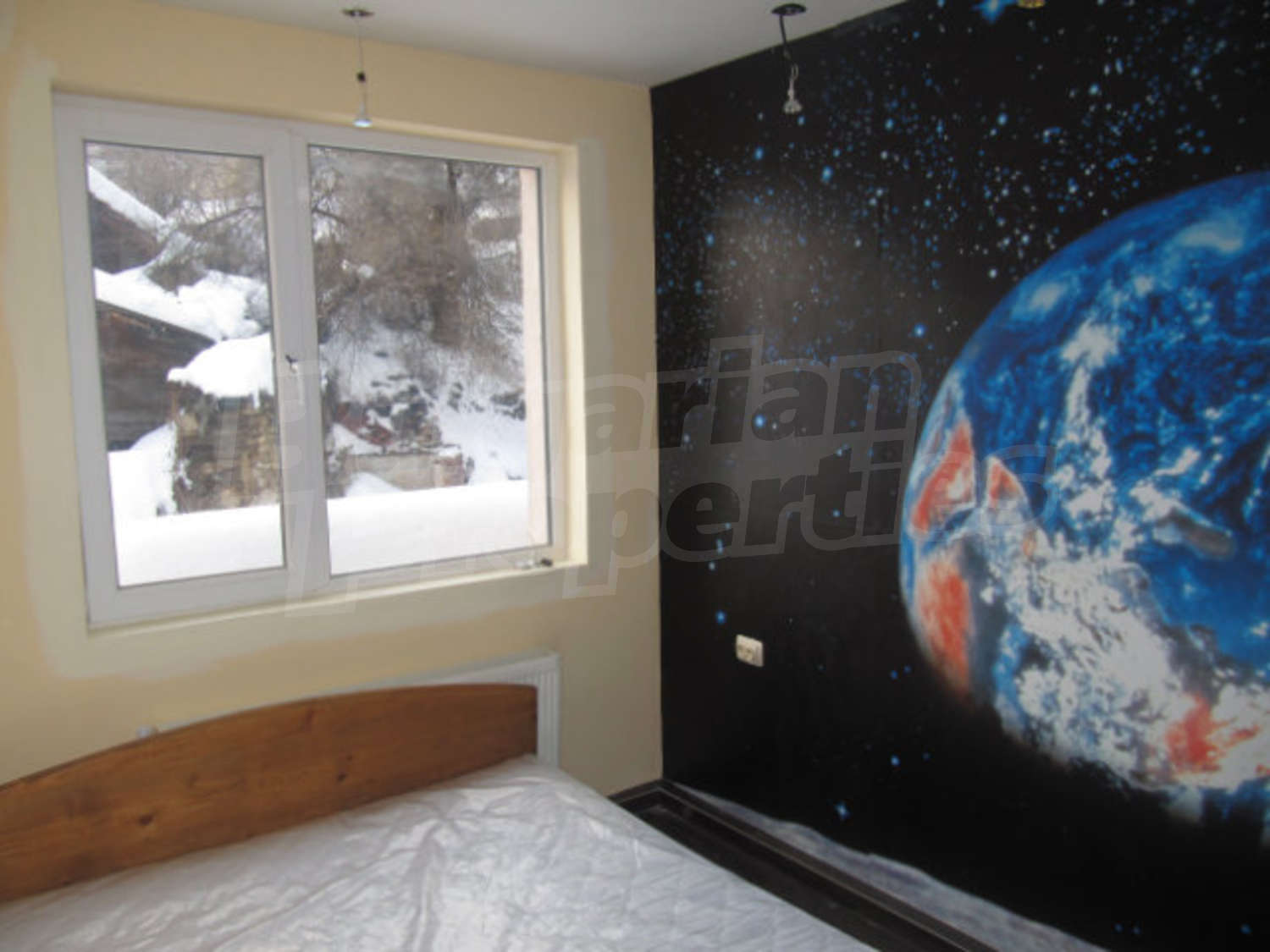 Gallery Picture 11