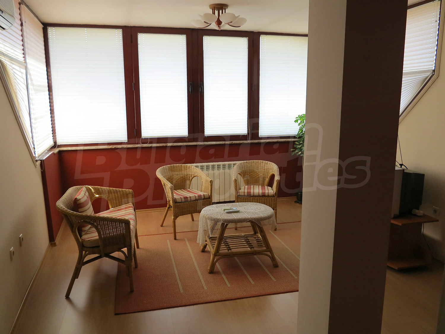 Gallery Picture 36