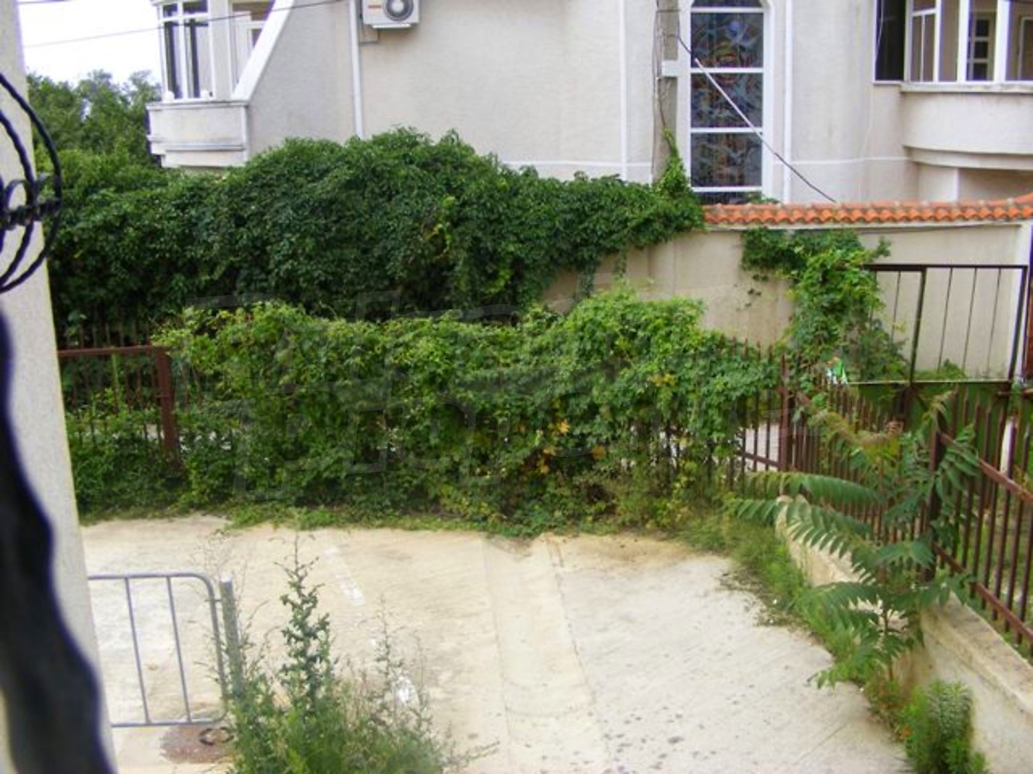 Gallery Picture 11