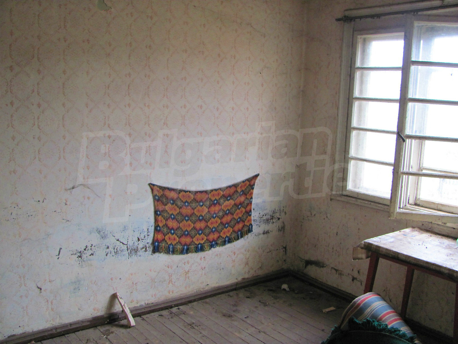 Gallery Picture 11