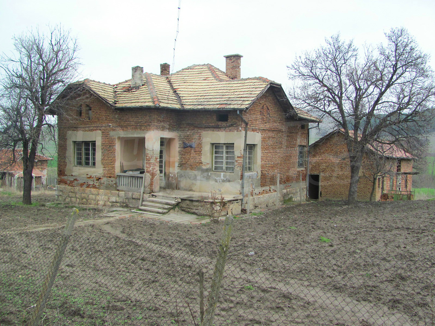 Gallery Picture 15