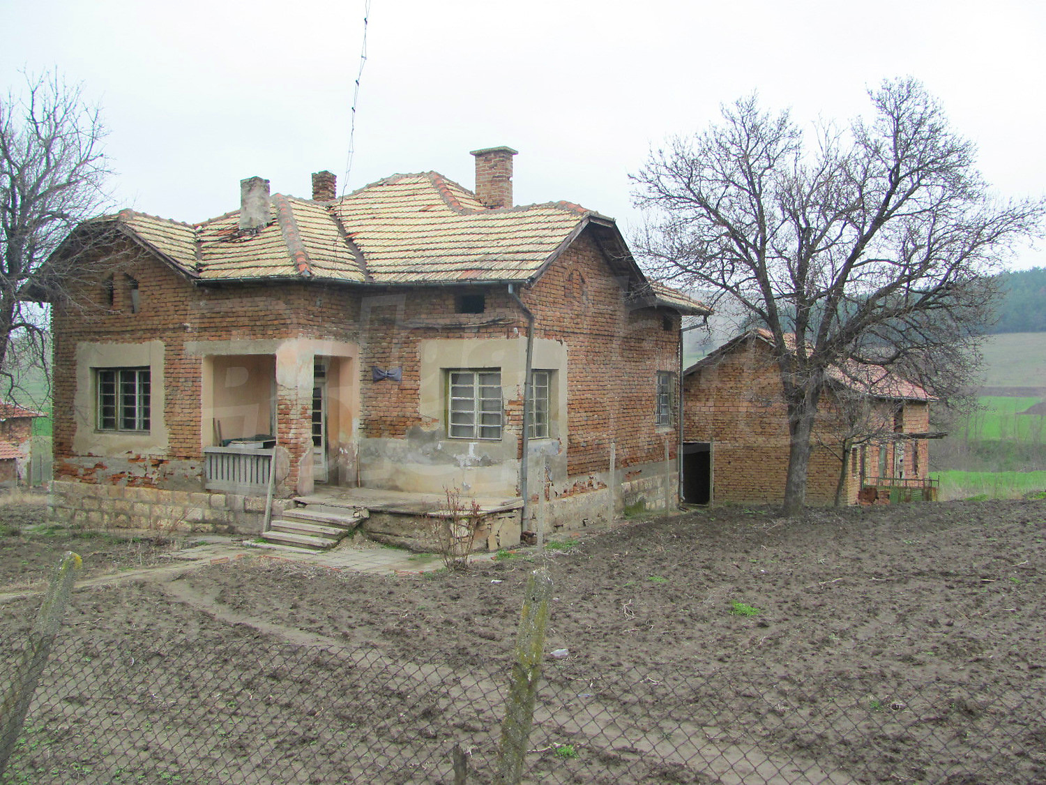 Gallery Picture 17