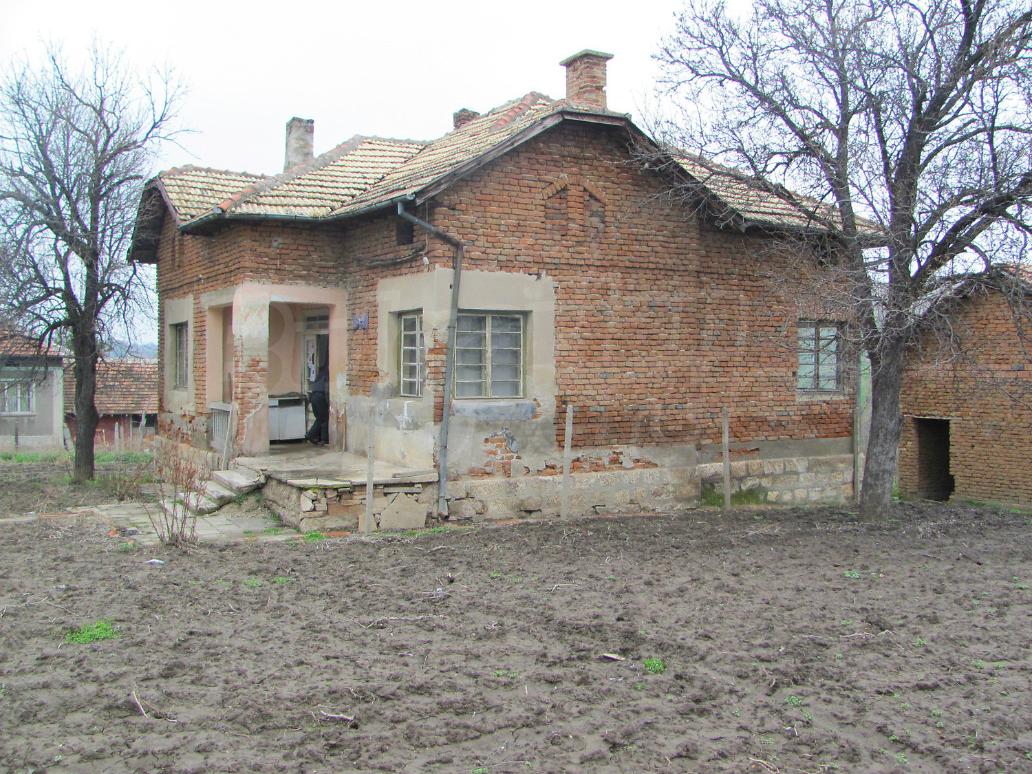 Gallery Picture 19