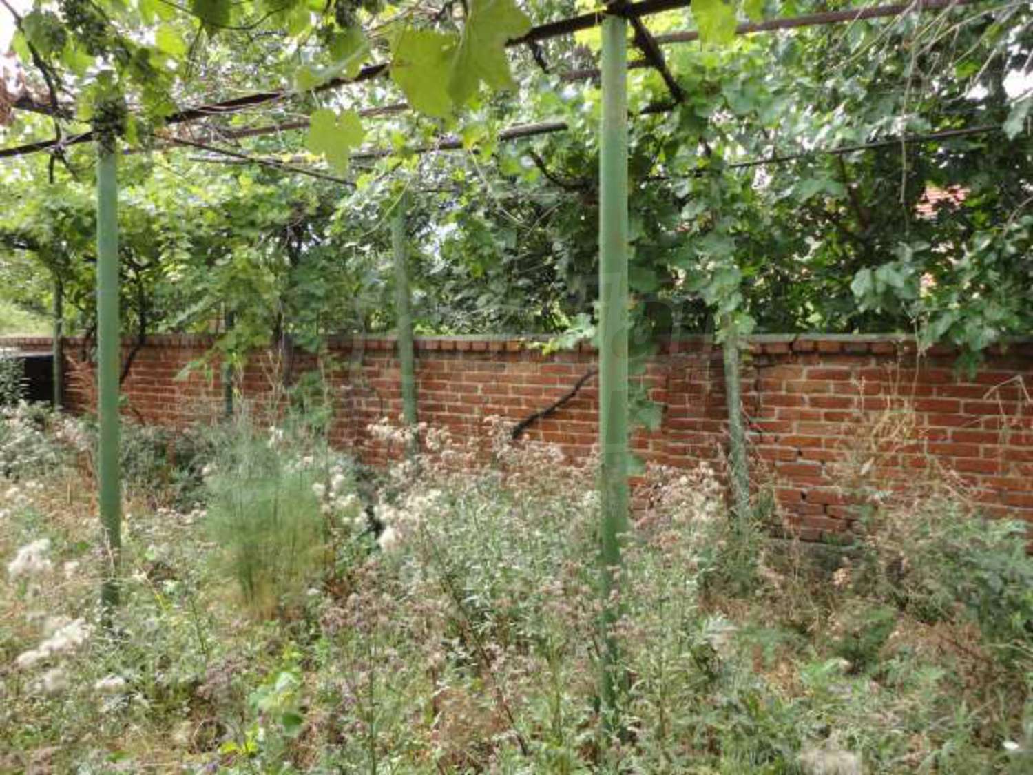 Gallery Picture 29