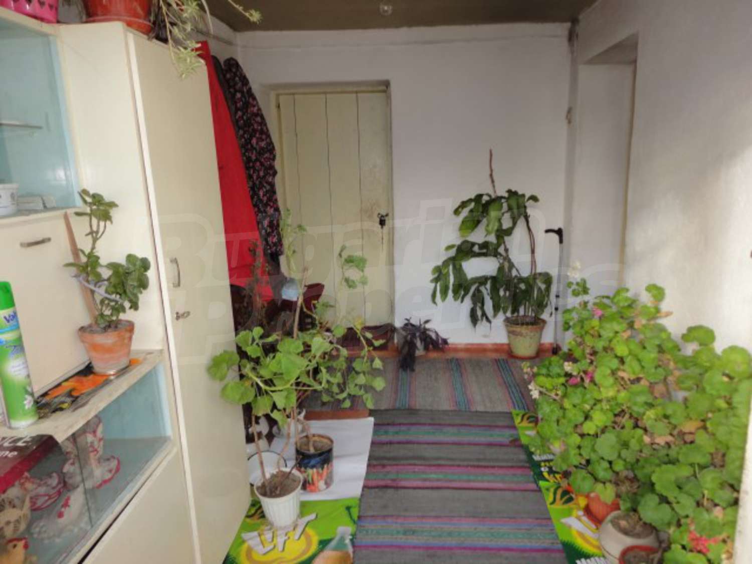 Gallery Picture 5