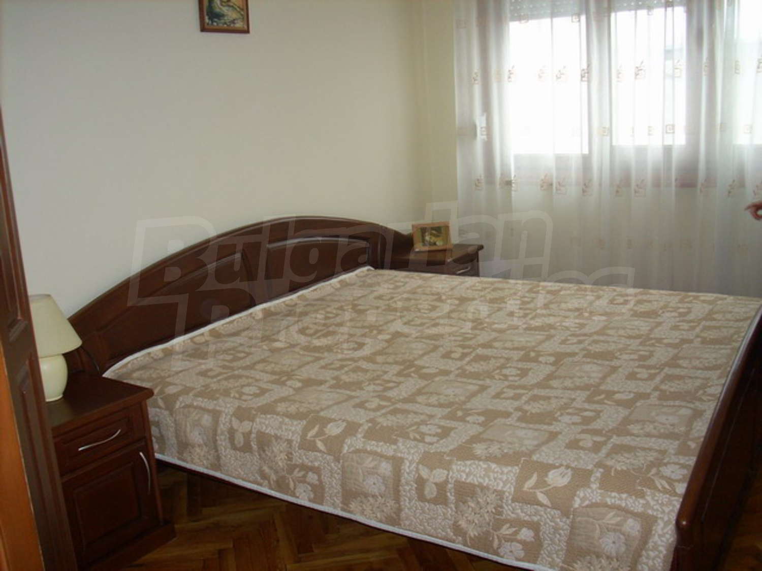 Gallery Picture 14