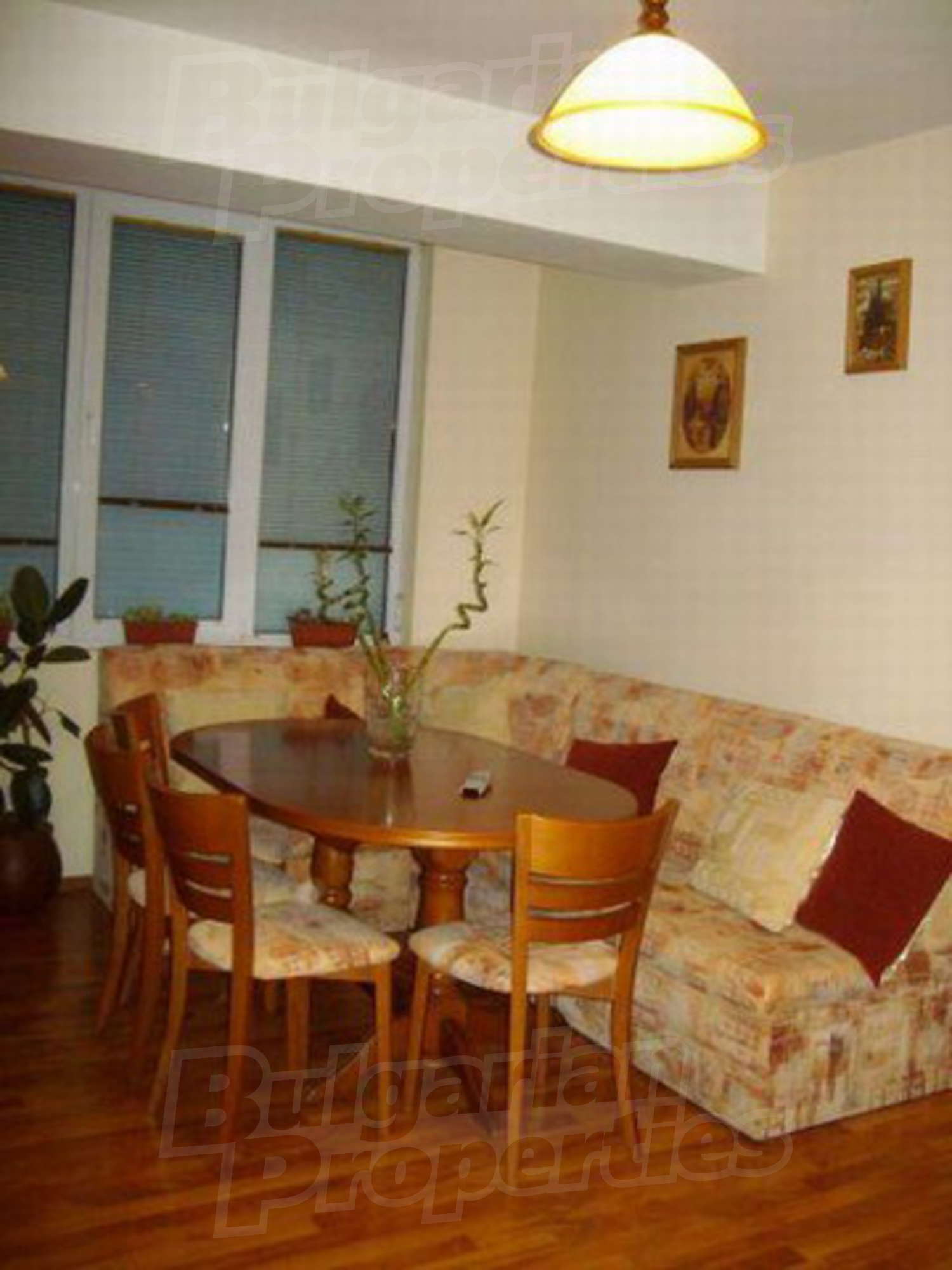 Gallery Picture 15