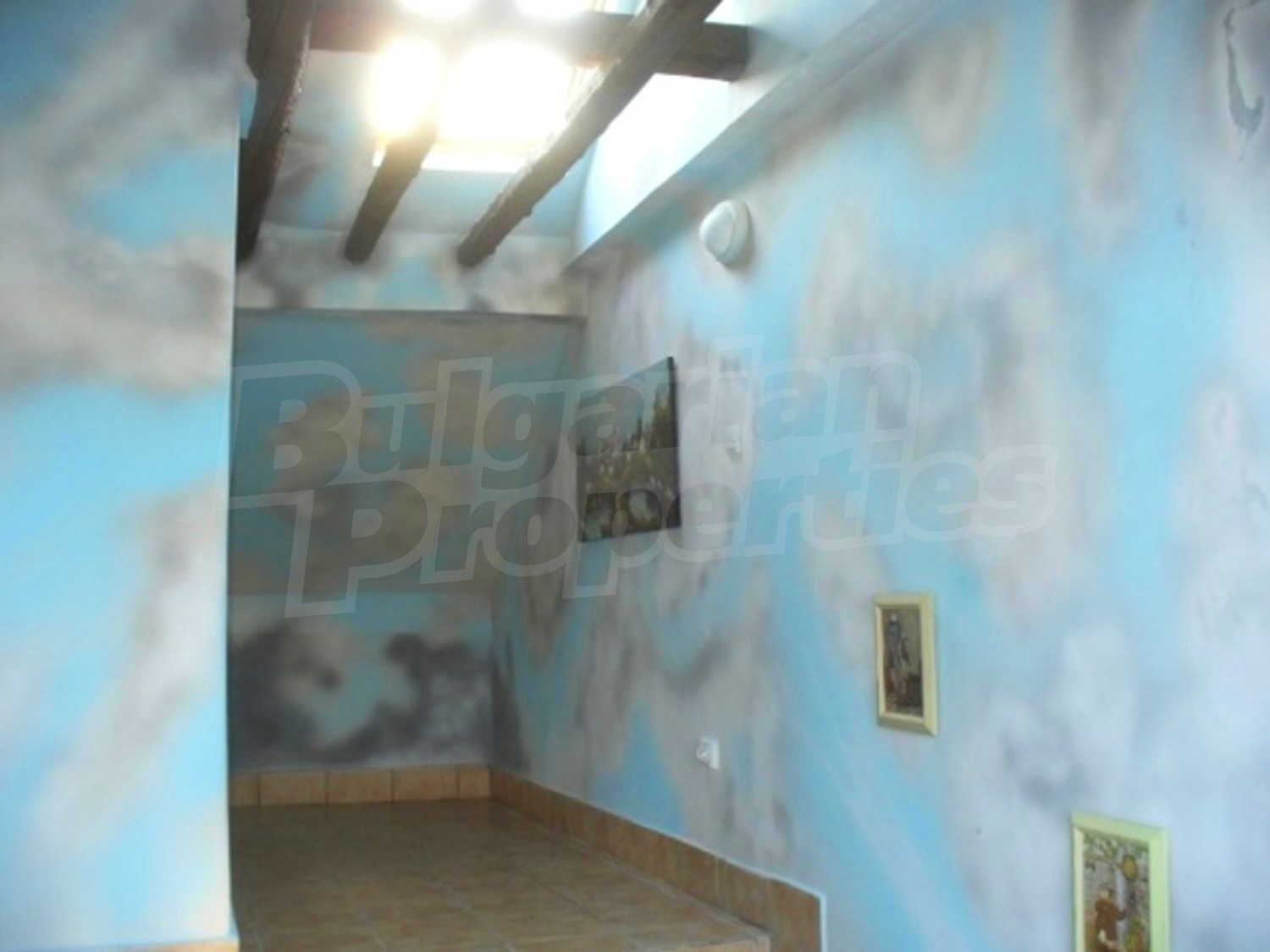 Gallery Picture 29