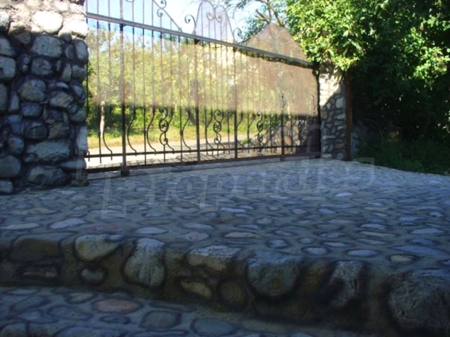 Gallery Picture 40
