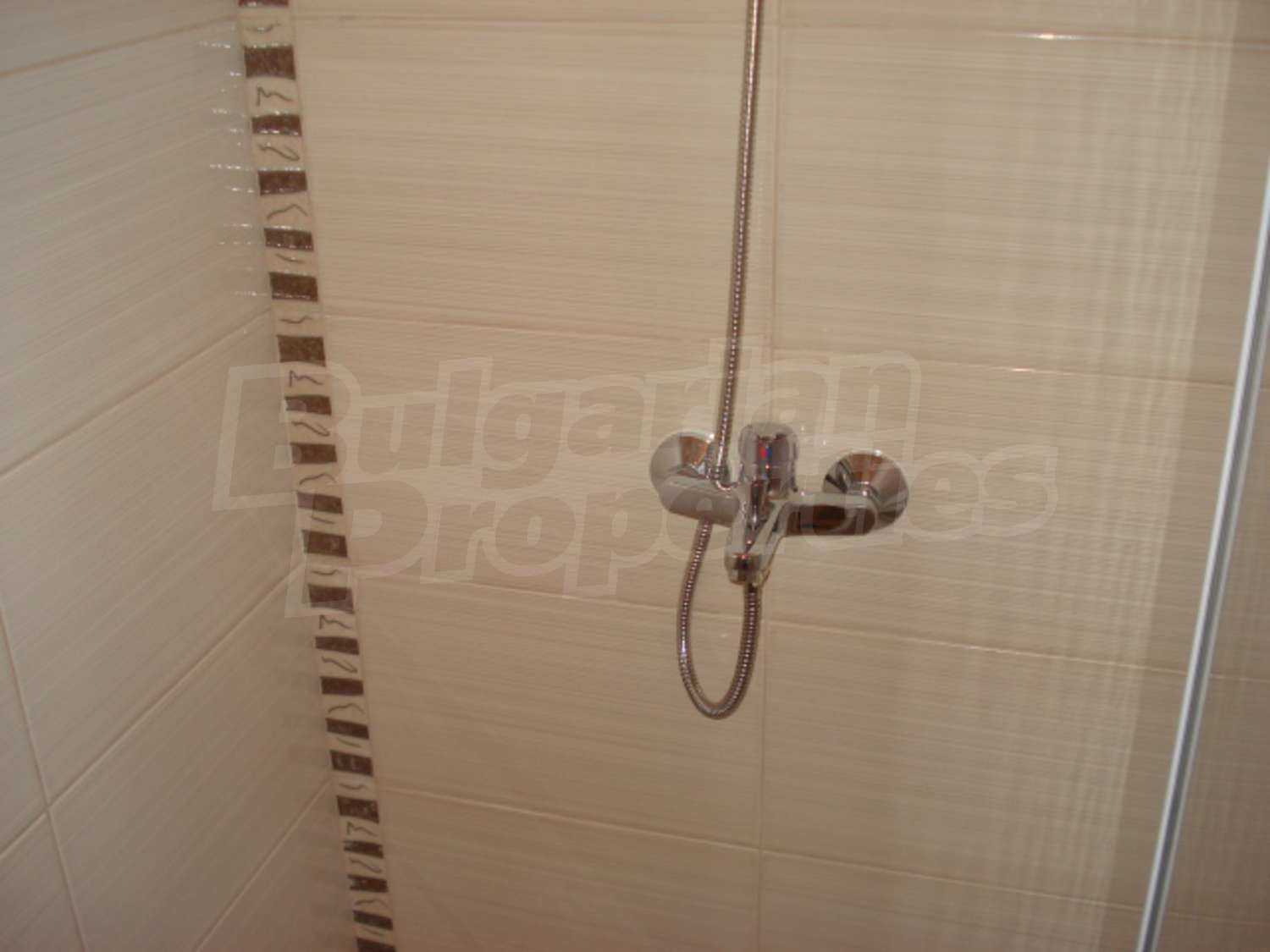 Gallery Picture 16