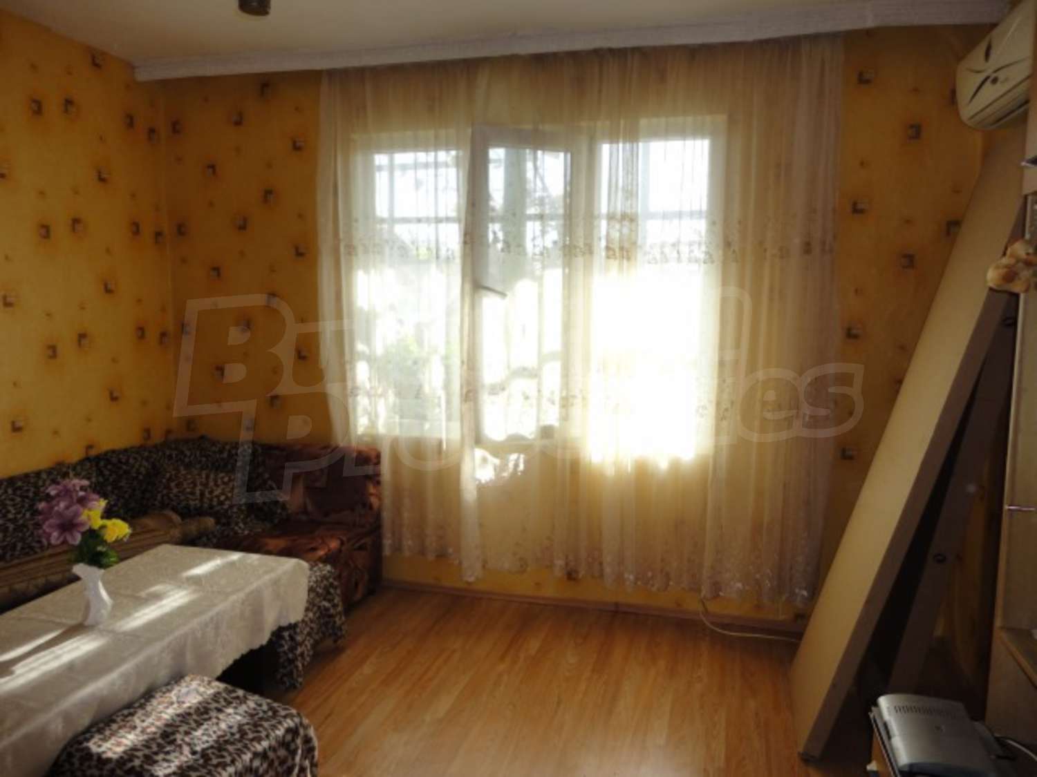 Gallery Picture 16