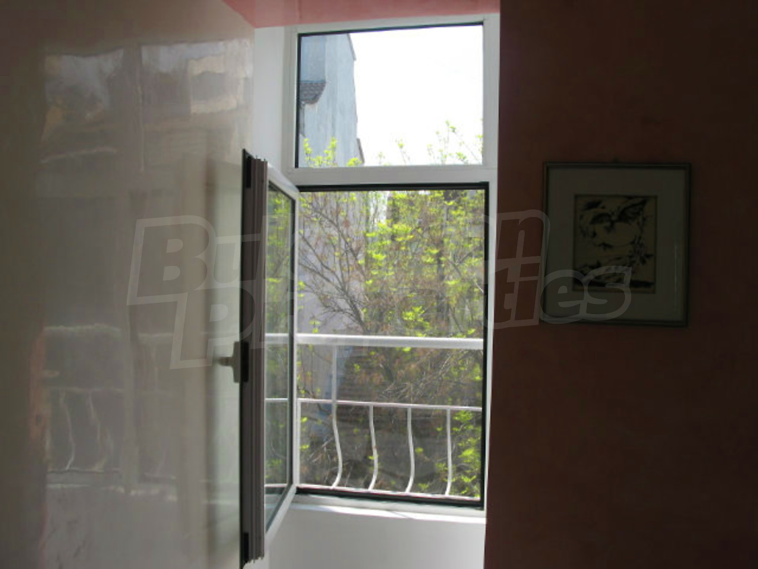 Gallery Picture 21