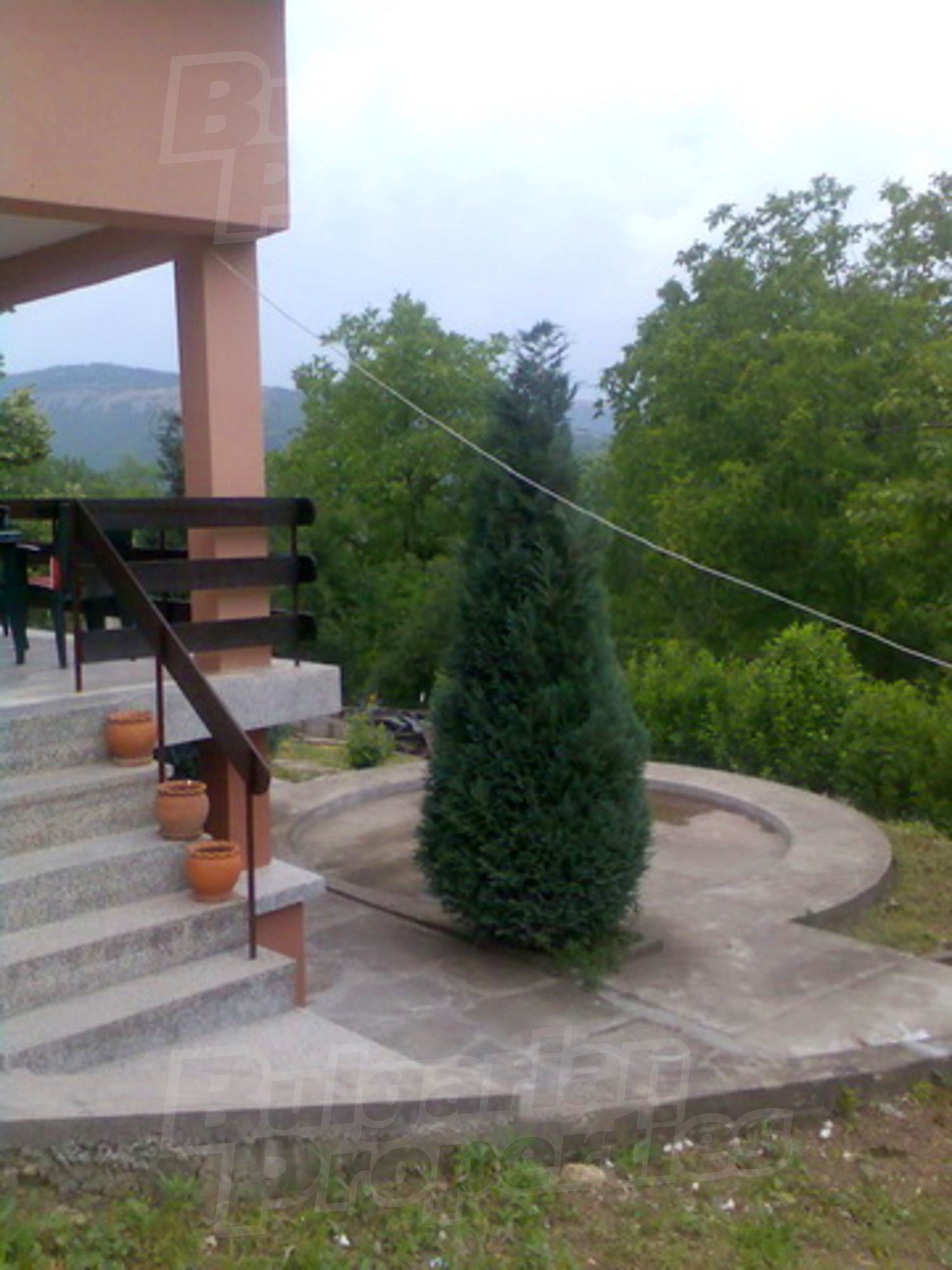 Gallery Picture 16