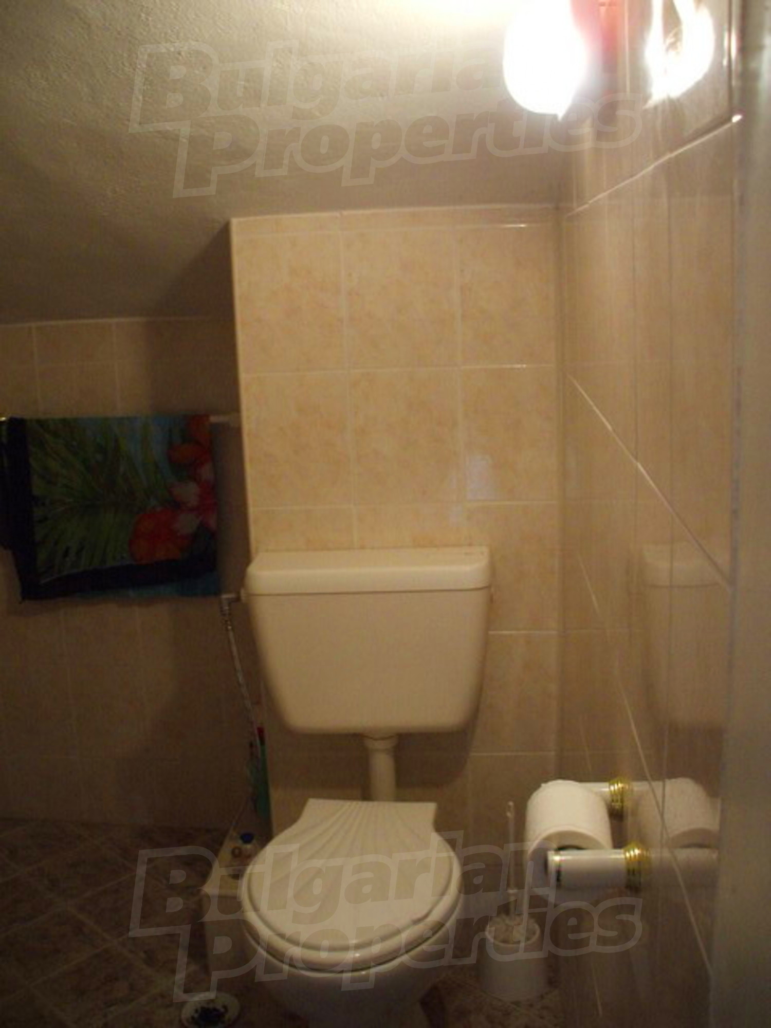 Gallery Picture 19